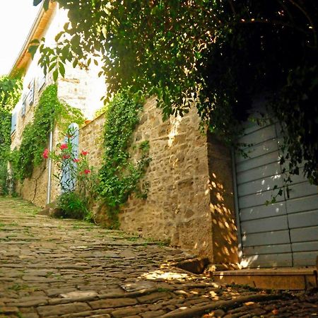 Ruine-Motovun Dh Villa Bagian luar foto