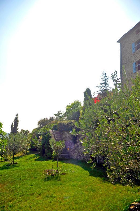 Ruine-Motovun Dh Villa Bagian luar foto