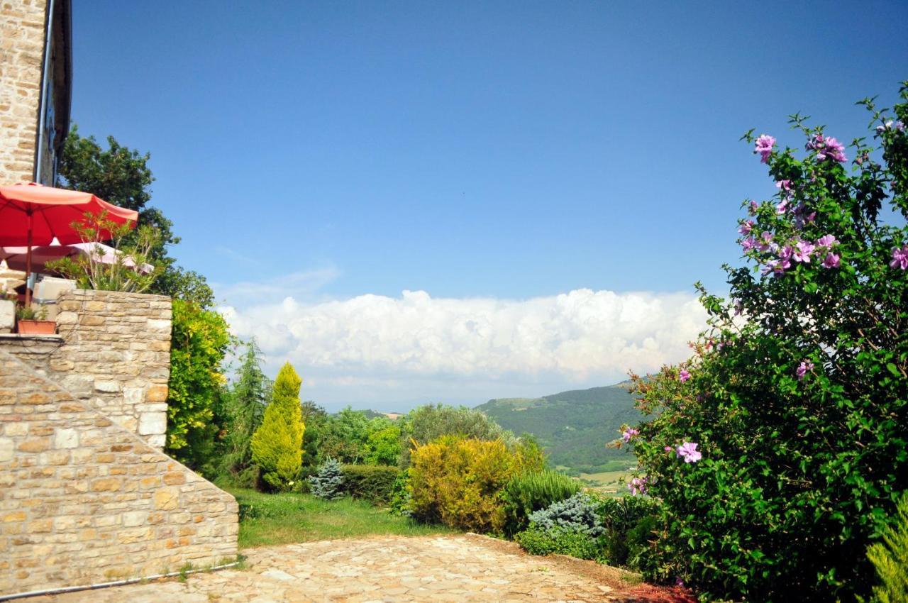 Ruine-Motovun Dh Villa Bagian luar foto